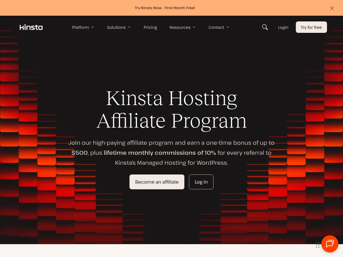 Kinsta Screenshot